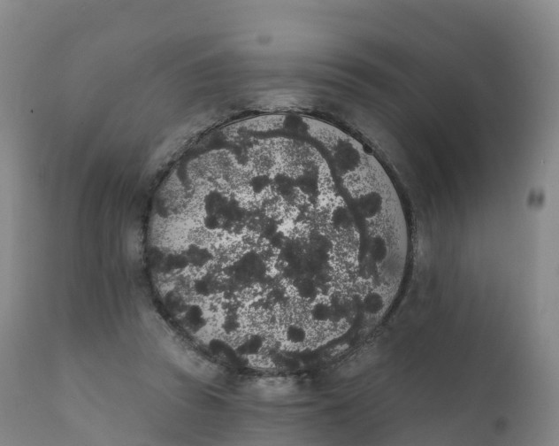 X0000111830353200908131551