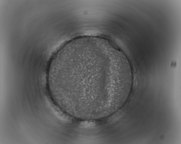 X0000111830354200908131551