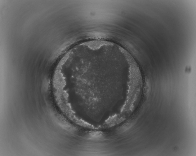 X0000111830355200908131551