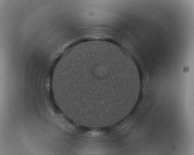 X0000111830356200908131551