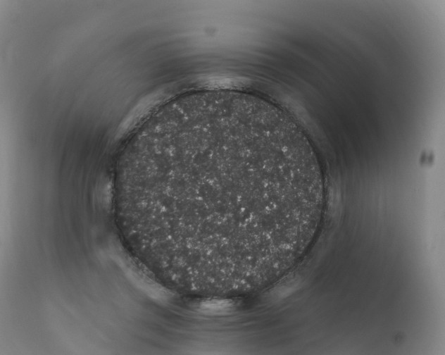 X0000111830357200908131552