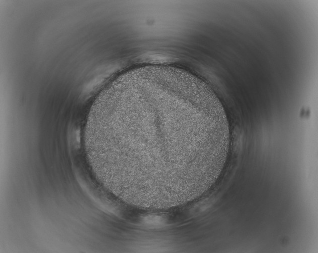 X0000111830358200908131552