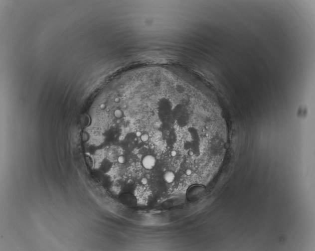 X0000111830359200908131552