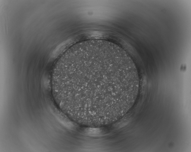 X0000111830361200908131552