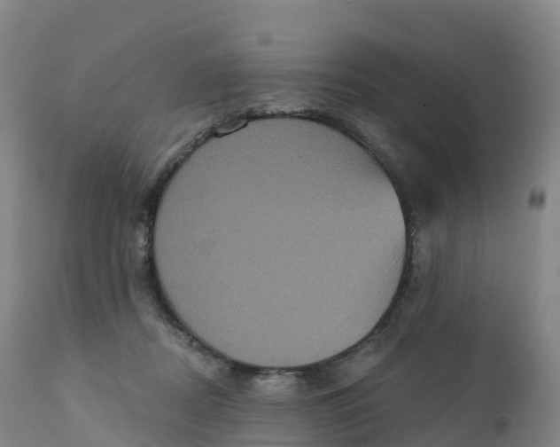 X0000111830362200908131552