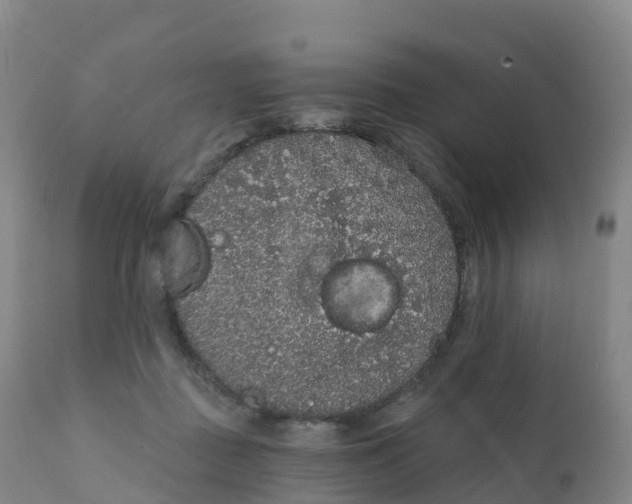 X0000111830363200908131552