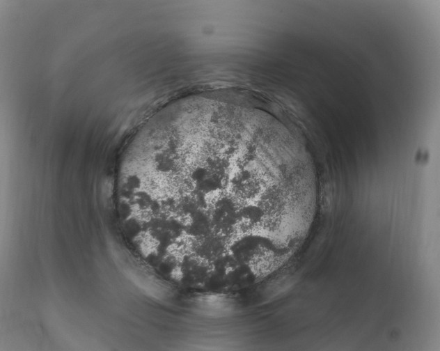 X0000111830365200908131552