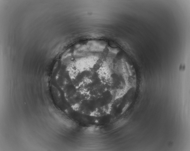 X0000111830366200908131552