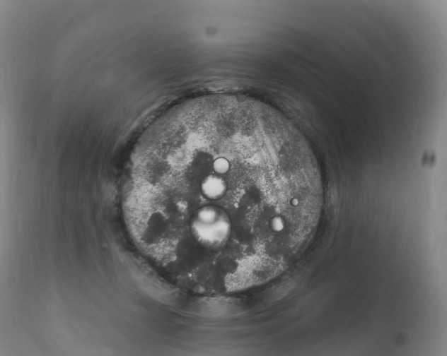 X0000111830367200908131552