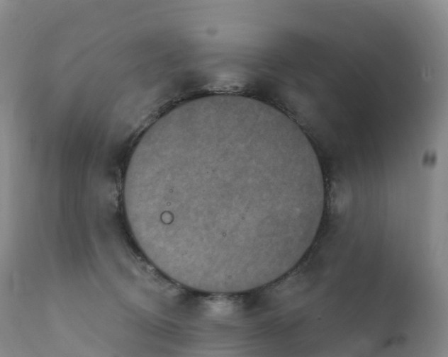 X0000111830370200908131552