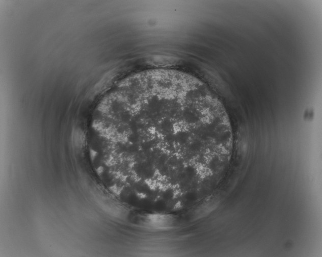 X0000111830371200908131552