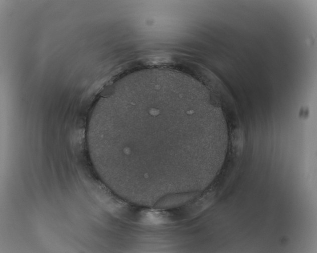 X0000111830372200908131552