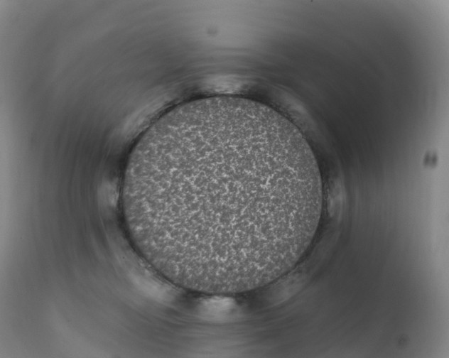 X0000111830374200908131552