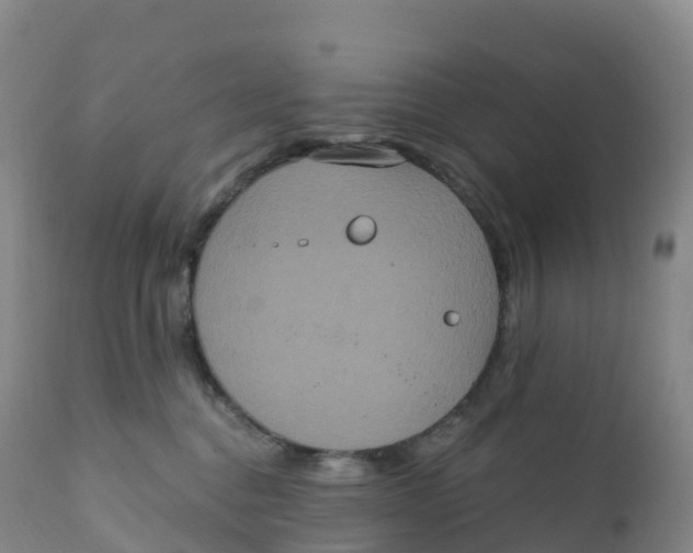 X0000111830376200908131552