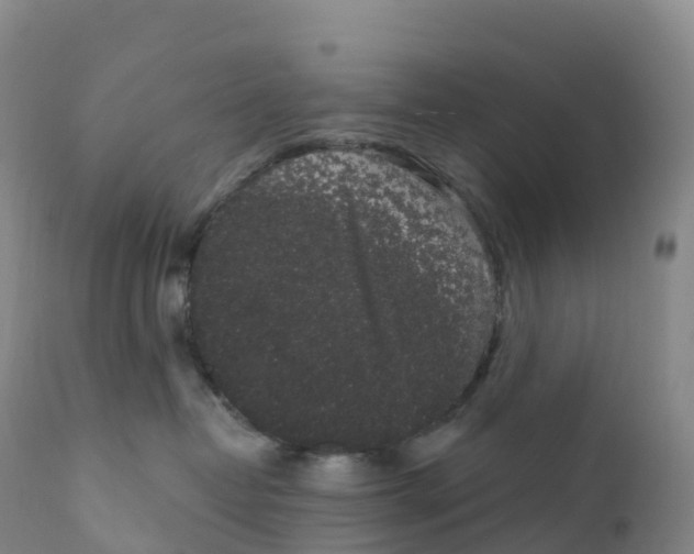 X0000111830382200908131552