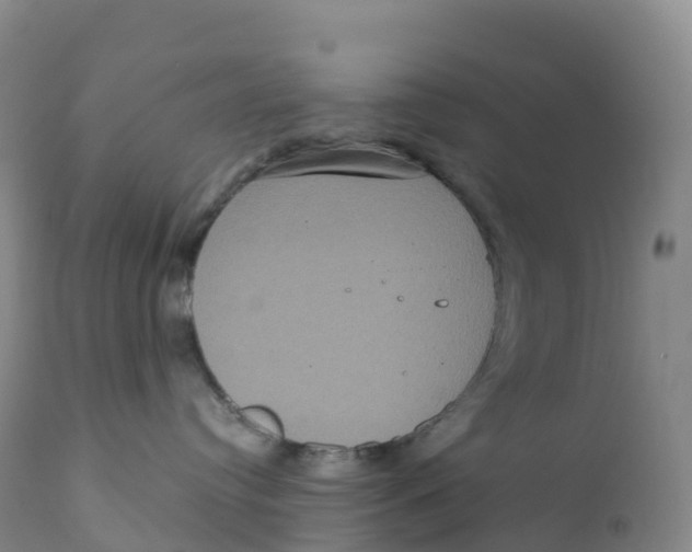 X0000111830384200908131552