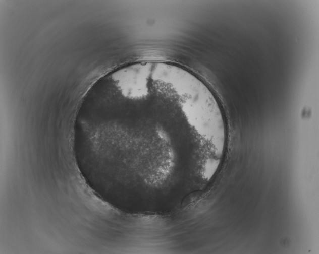 X0000111830385200908131551