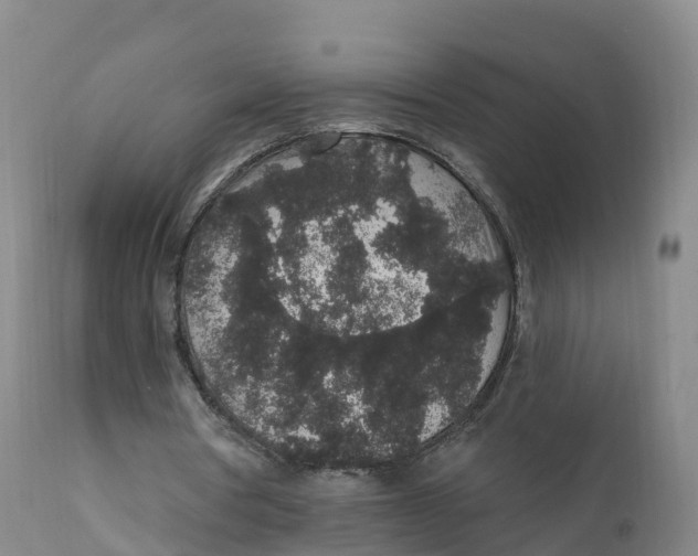 X0000111830386200908131551