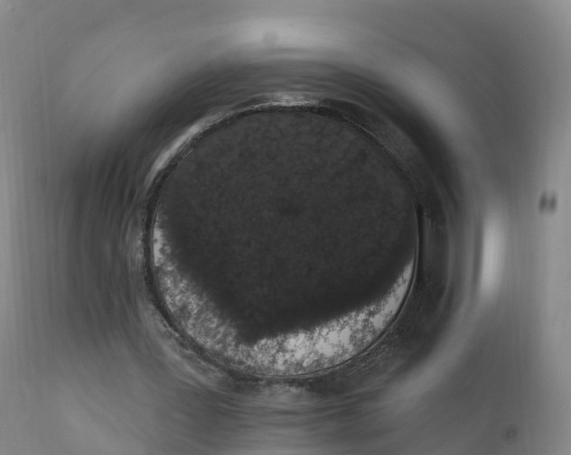 X0000111830387200908131551