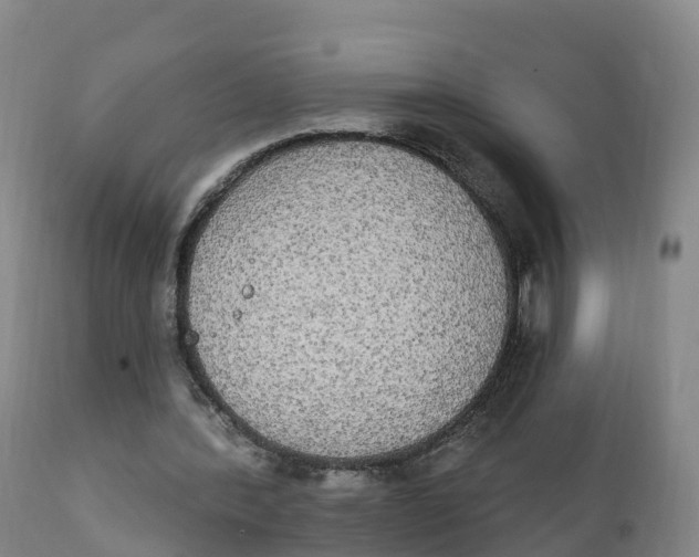 X0000111830388200908131551