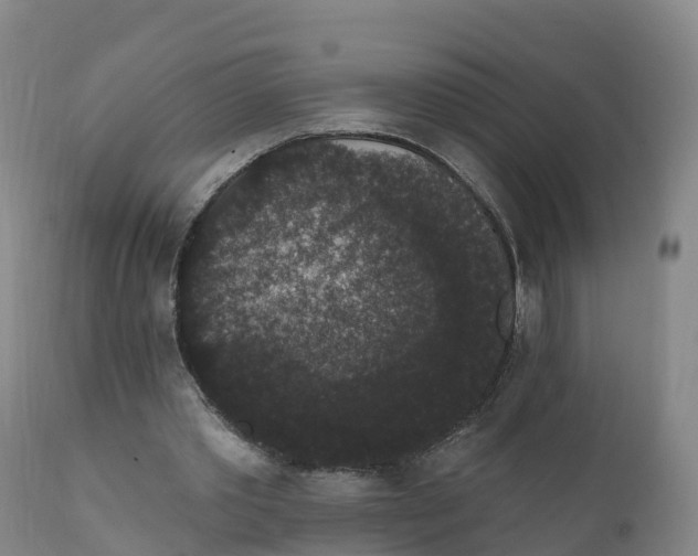 X0000111830389200908131551