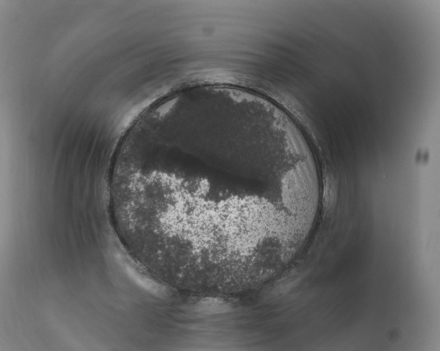 X0000111830390200908131551