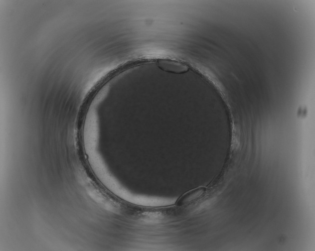 X0000111830391200908131551