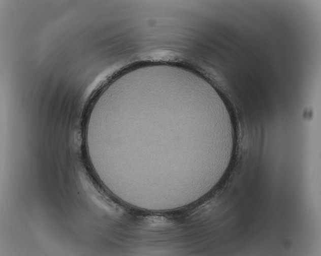 X0000111830392200908131551