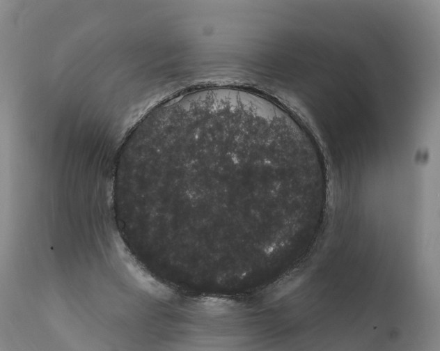 X0000111830393200908131551