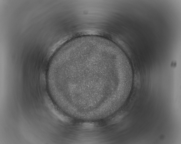 X0000111830394200908131551