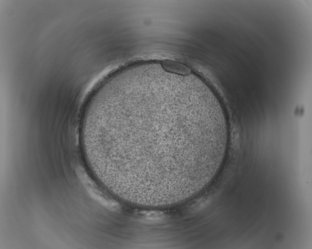 X0000111830395200908131551