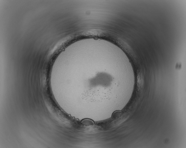 X0000111830396200908131551