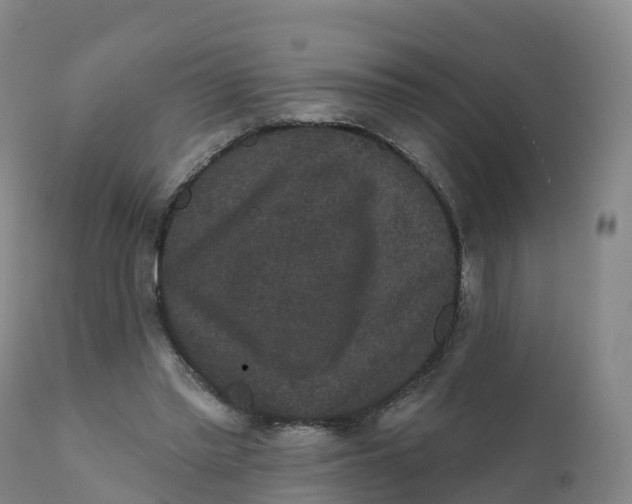 X0000111830397200908131551