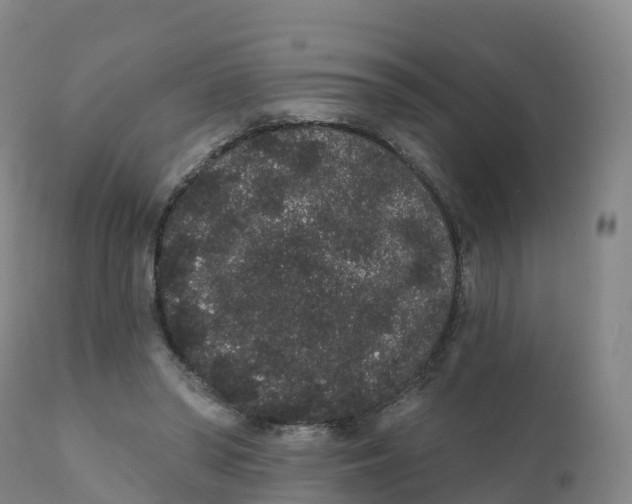 X0000111830398200908131551