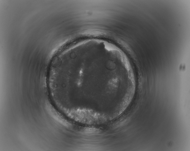 X0000111830399200908131551