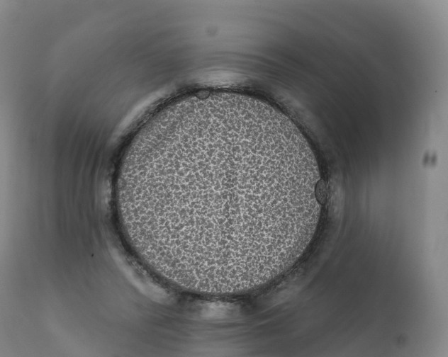 X0000111830400200908131551