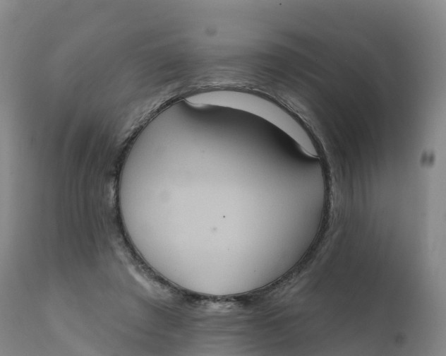 X0000111830401200908131551