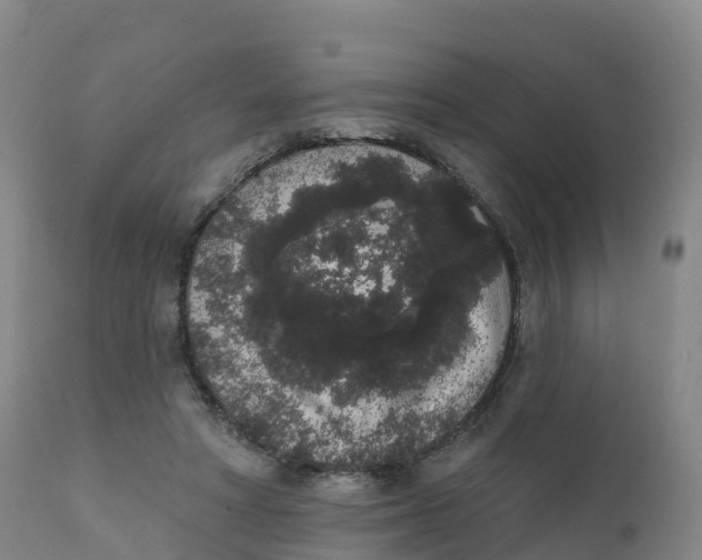 X0000111830402200908131551