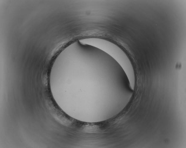 X0000111830403200908131551