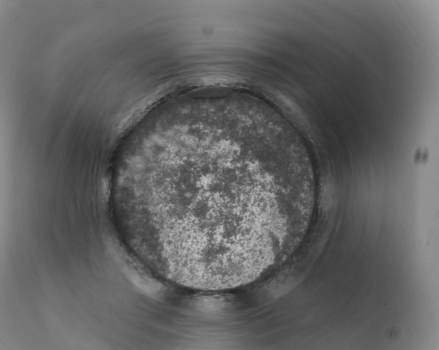 X0000111830405200908131551