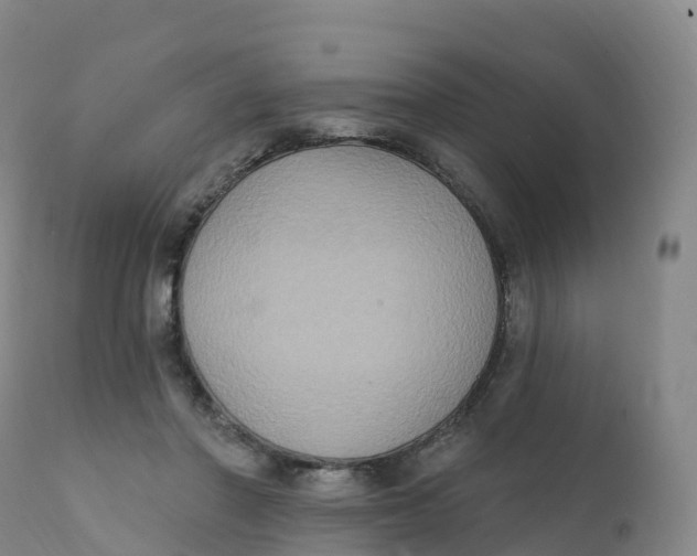 X0000111830406200908131551