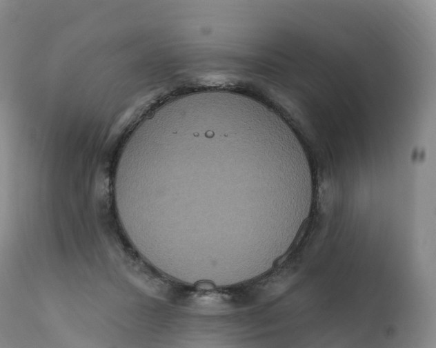 X0000111830407200908131551