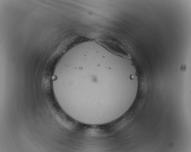 X0000111830408200908131551