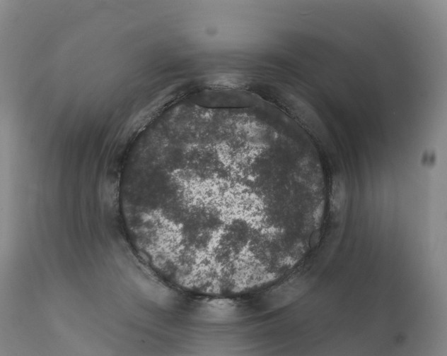 X0000111830409200908131551