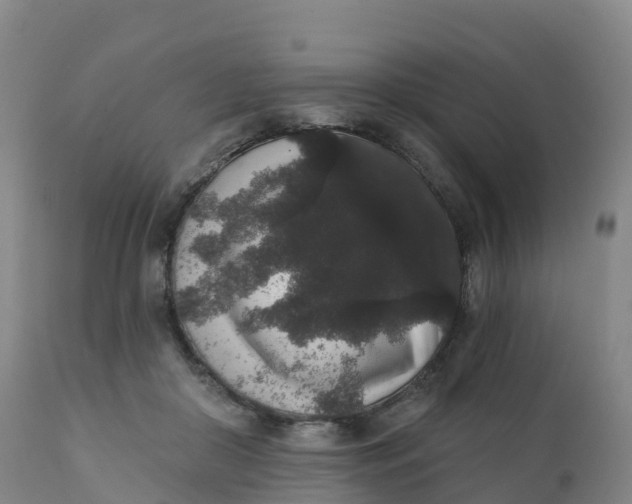 X0000111830410200908131551