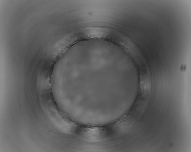 X0000111830411200908131551