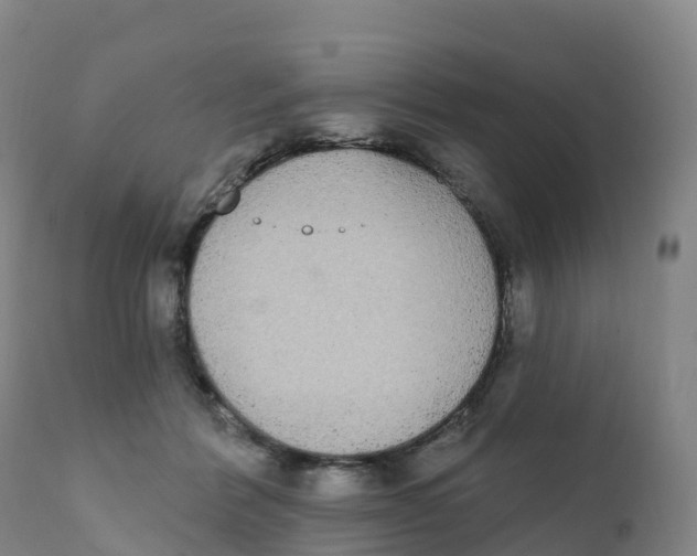 X0000111830412200908131551