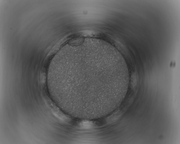 X0000111830413200908131551