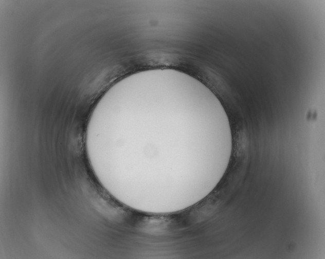 X0000111830414200908131551