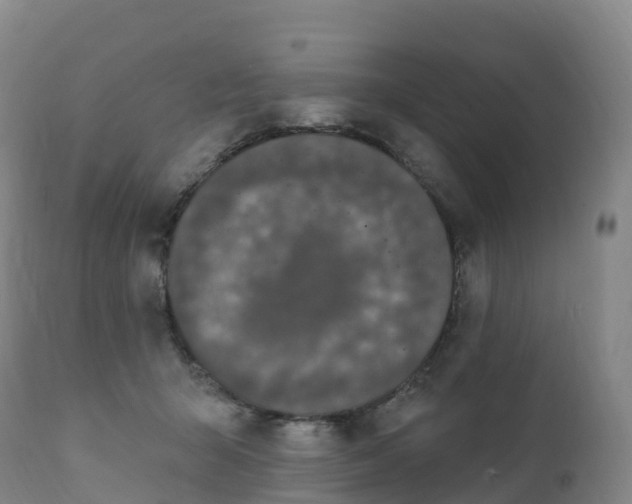 X0000111830415200908131551